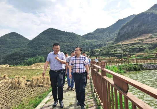 畢節(jié)工業(yè)職業(yè)技術(shù)學(xué)院黨委書記李涌、院長邱國援率隊到鄉(xiāng)村振興駐村聯(lián)系工作點調(diào)研